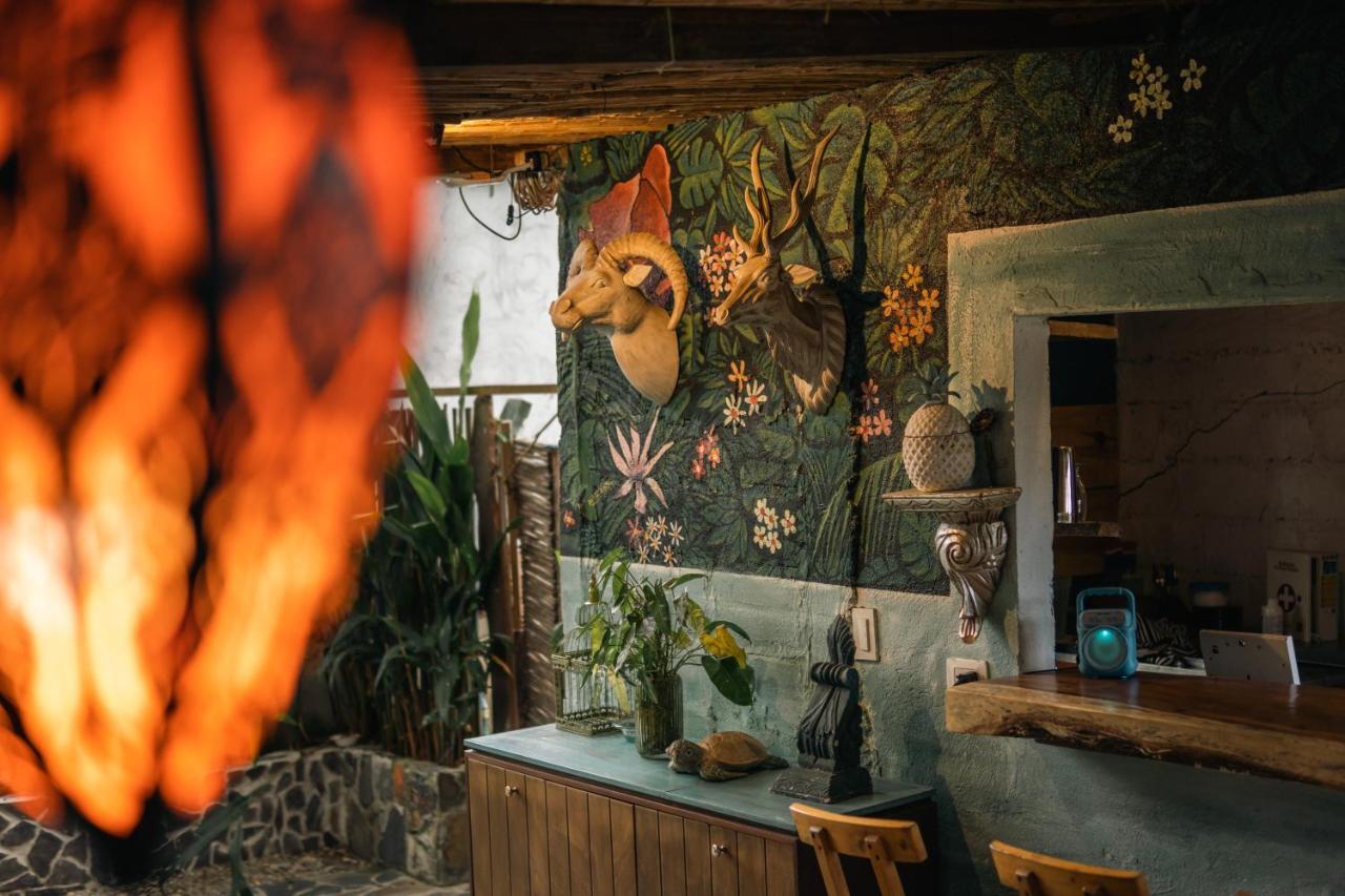 Ekaa Hotel Паломино Екстериор снимка